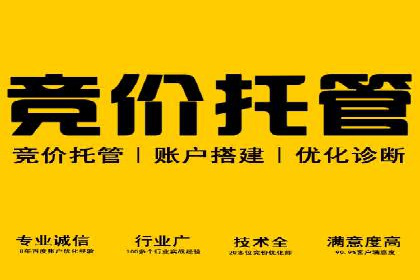 SEM竞价员实战案例：精准营销策略